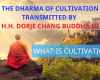 THE DHARMA OF CULTIVATION TRANSMITTED BY H.H. DORJE CHANG BUDDHA III