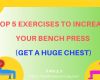TOP 5 EXERCISES TO INCREASE YOUR BENCH PRESS (GET A HUGE CHEST)